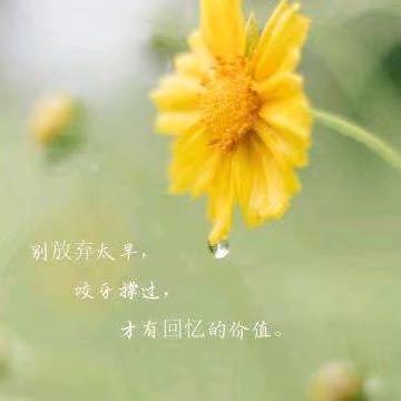 ペ此去經年ジ固執思念