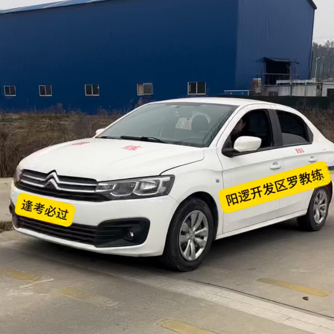 阳逻开发区罗教练 科2科3一对一陪练