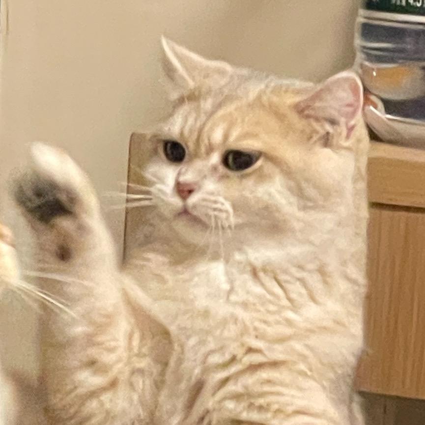 欣荣o