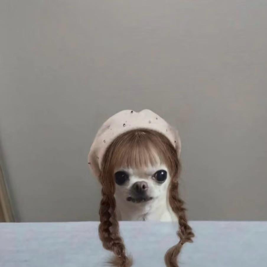 乌萨奇