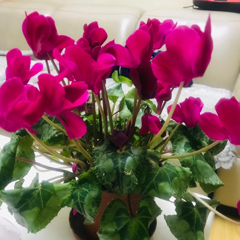 完美零食轻食优选