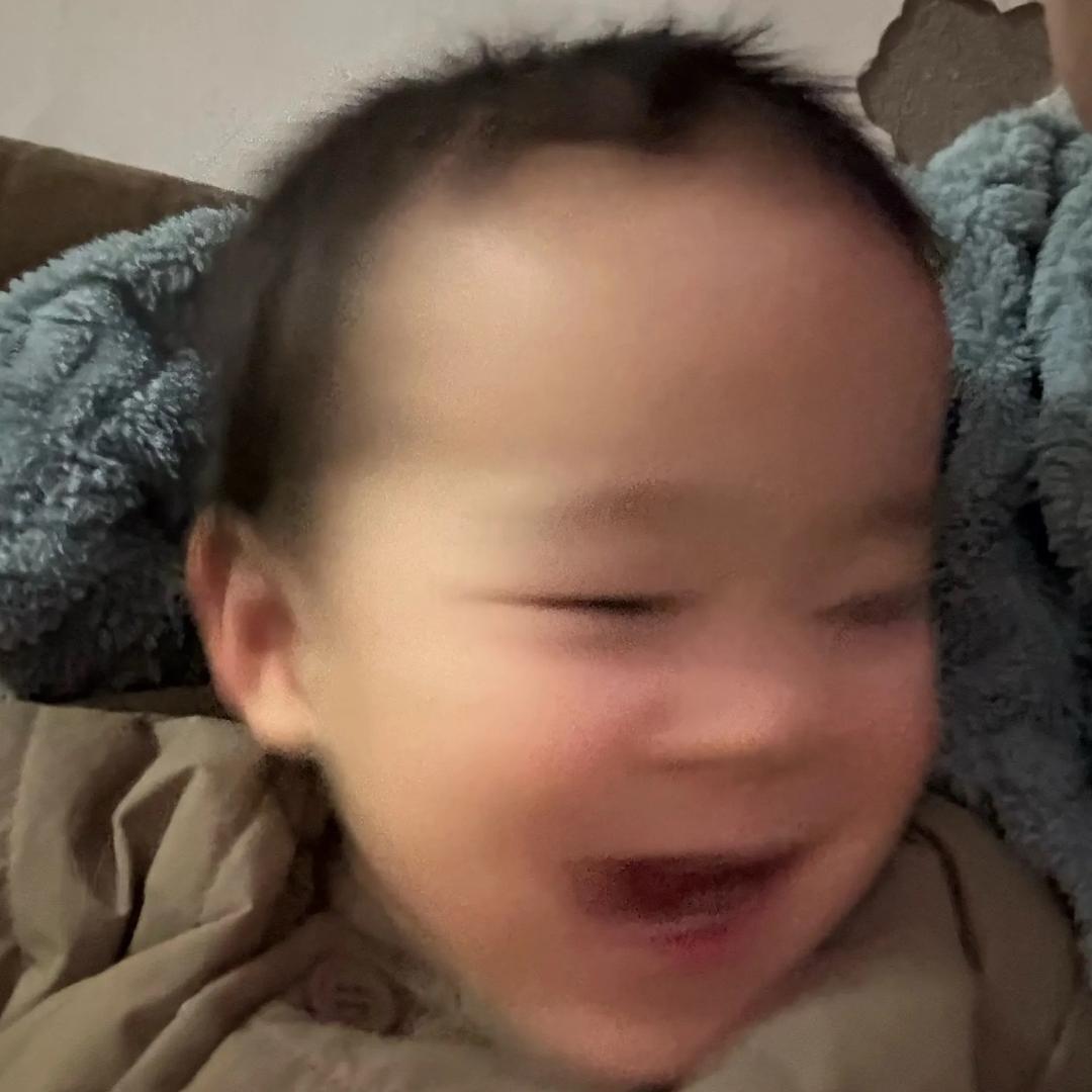 小灰灰