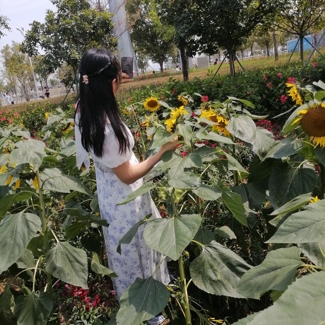 🦋ღ心已ღ᭄ꦿ归零࿐🦋²º²²࿐