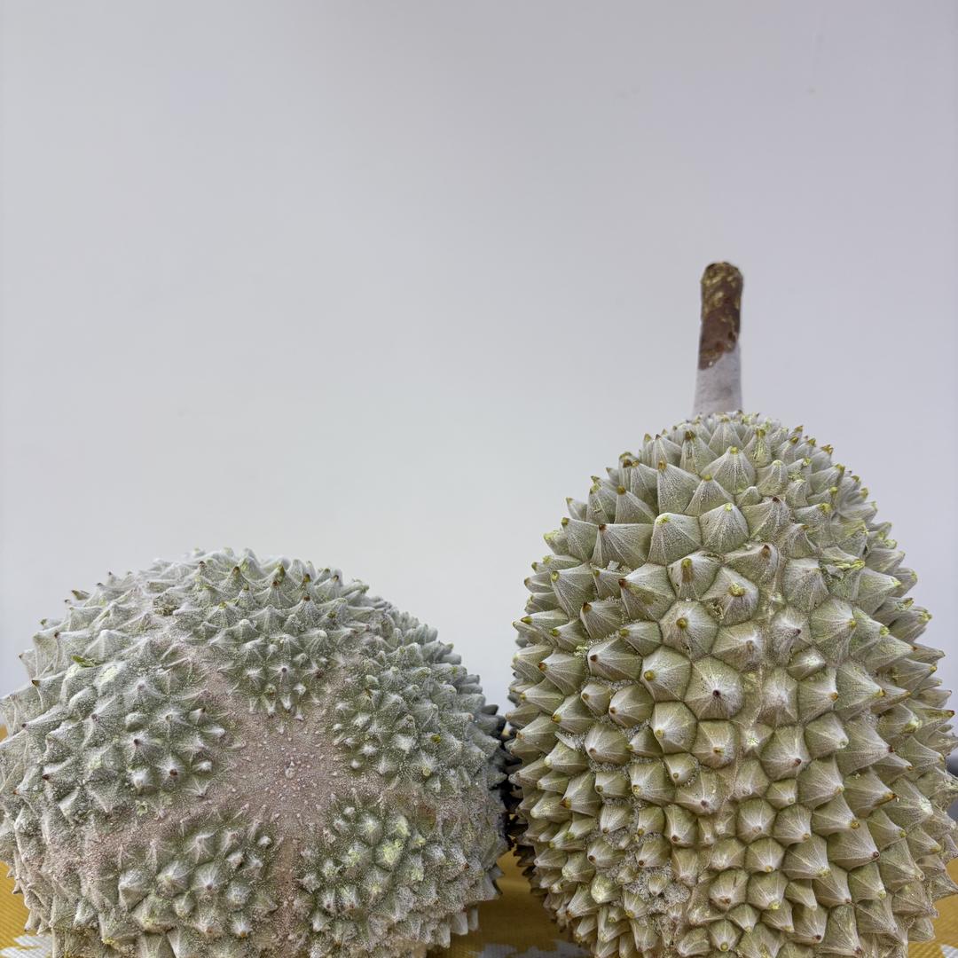 广州市榴德贸易