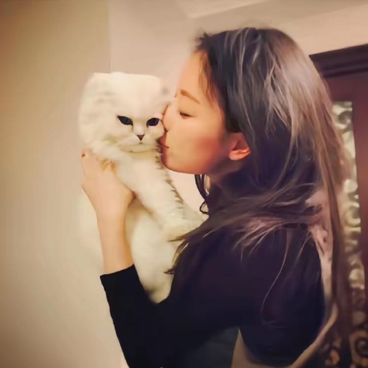 做个美梦