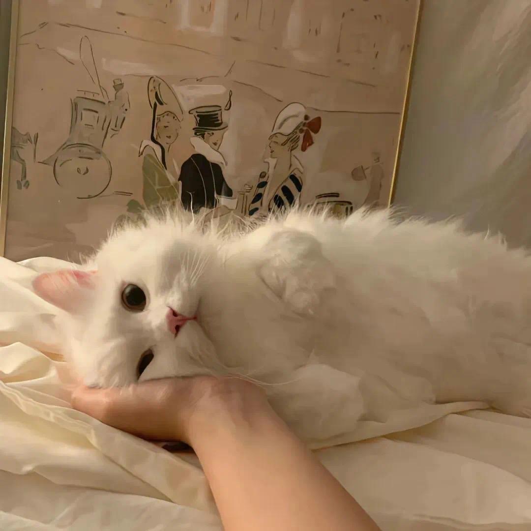 ૢ糖五岁丶