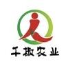 新疆千椒农业发展有限公司