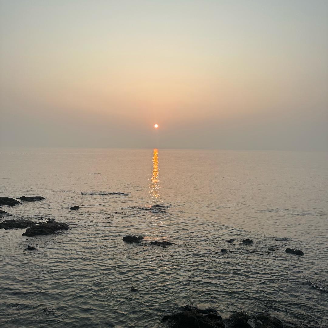 用户38373639826399