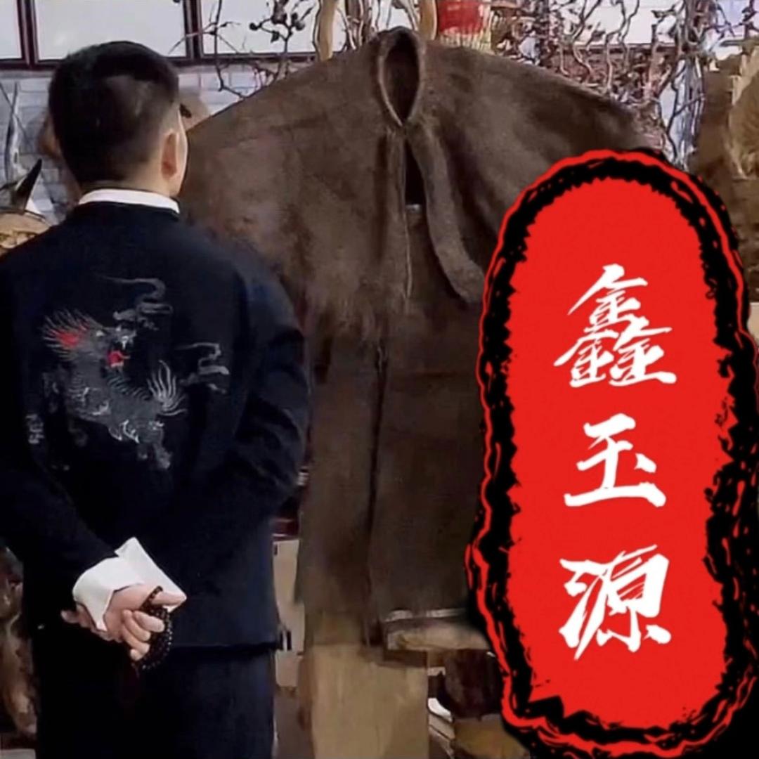 老金牙骨角鉴定