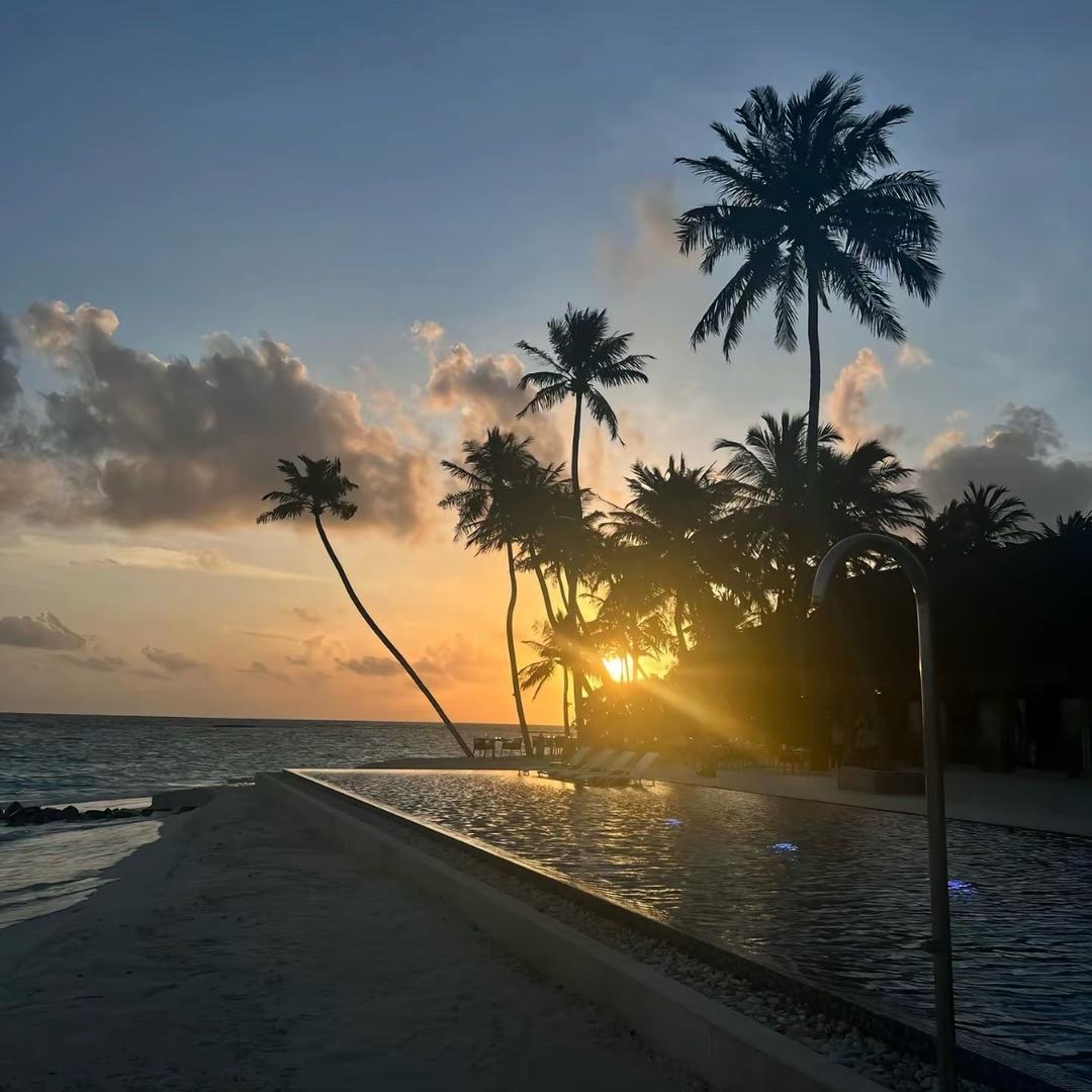 爱跳舞的螺蛳粉