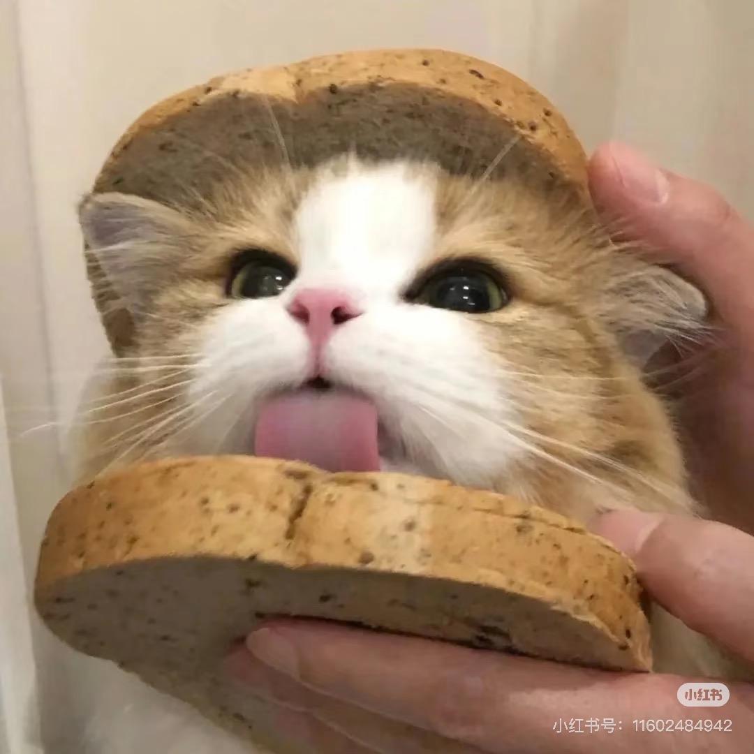 旺旺小糖包🍞