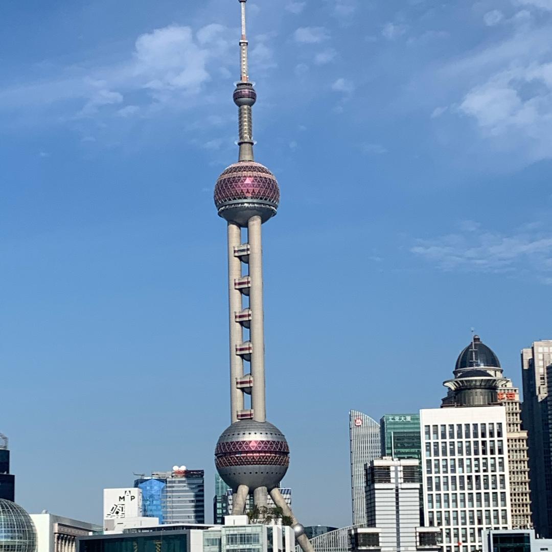 🌈天堂鸟