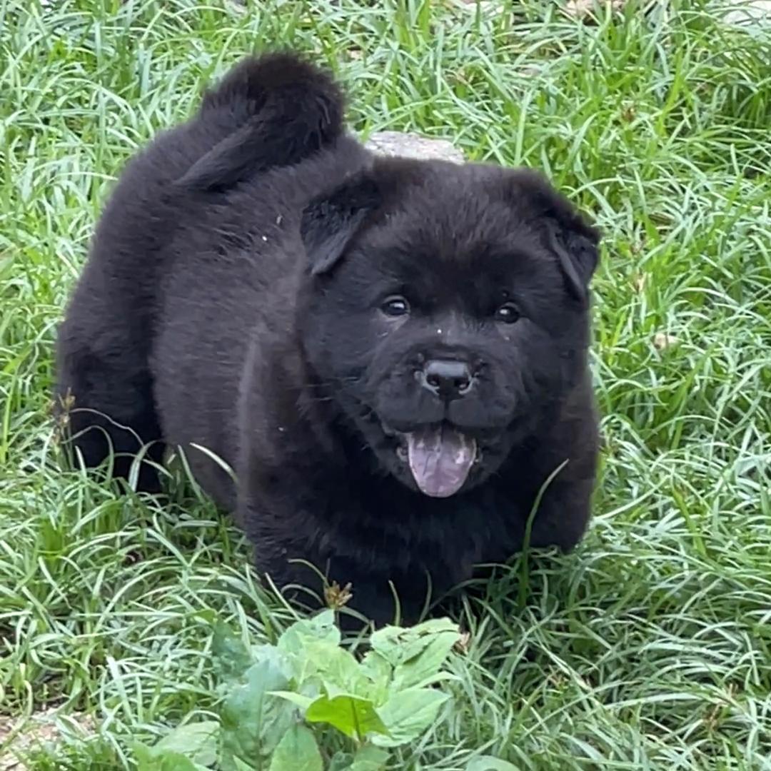 🛵一直很可爱😋