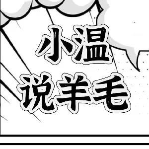 小温说羊毛