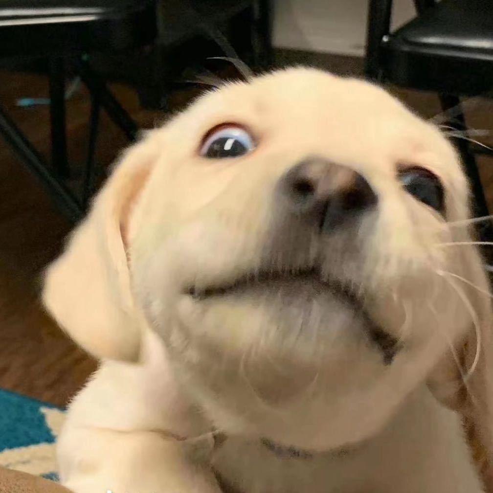 纯情小叠