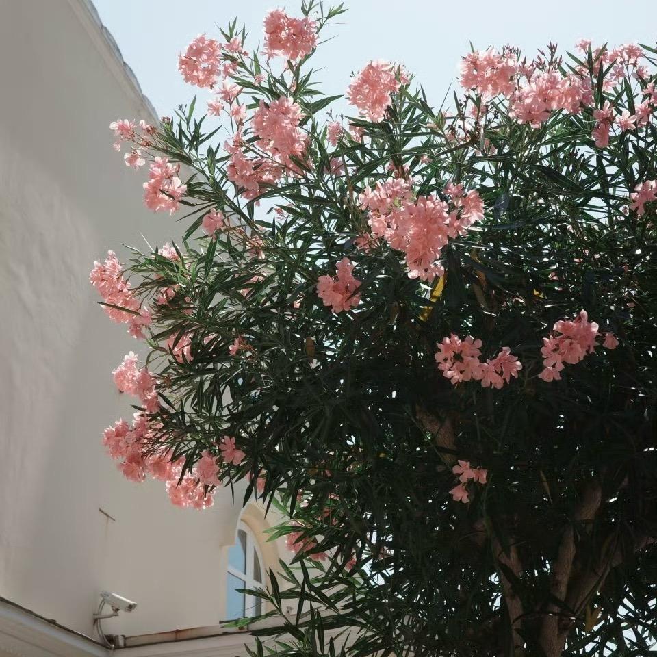 悦己、阅己、越己