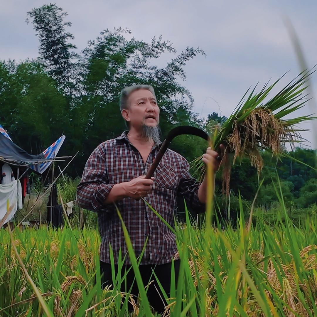 川虎二龙(收徒中)