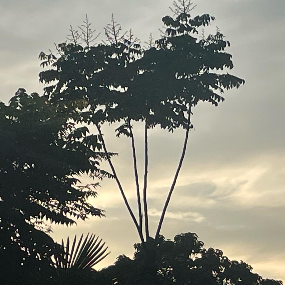 老时的农村生活