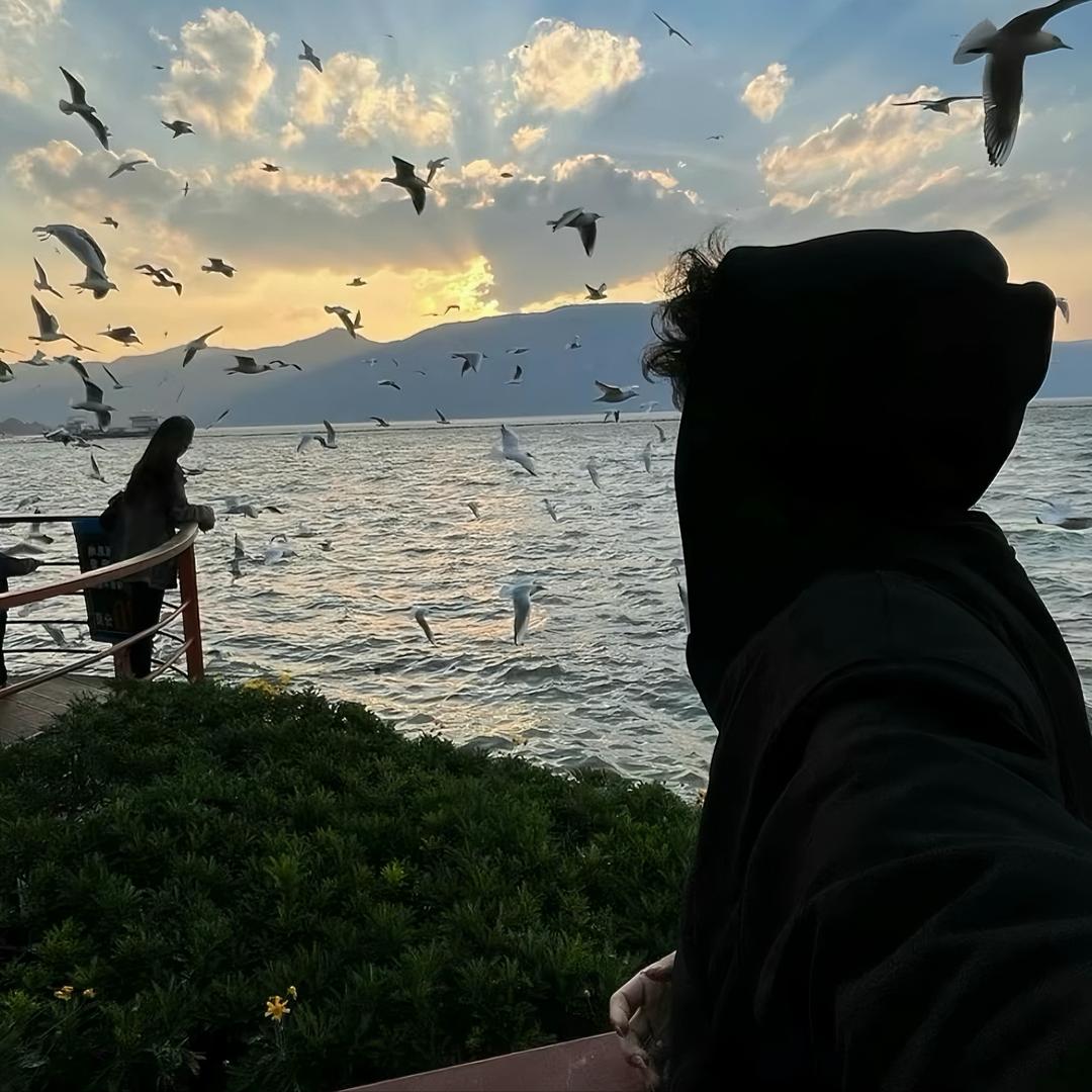 纯友谊