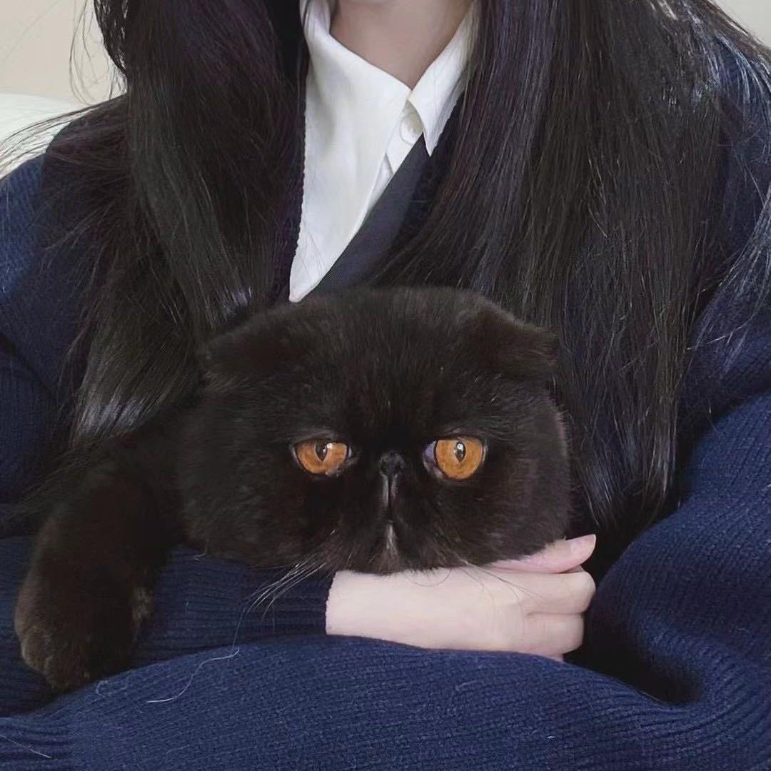 圈