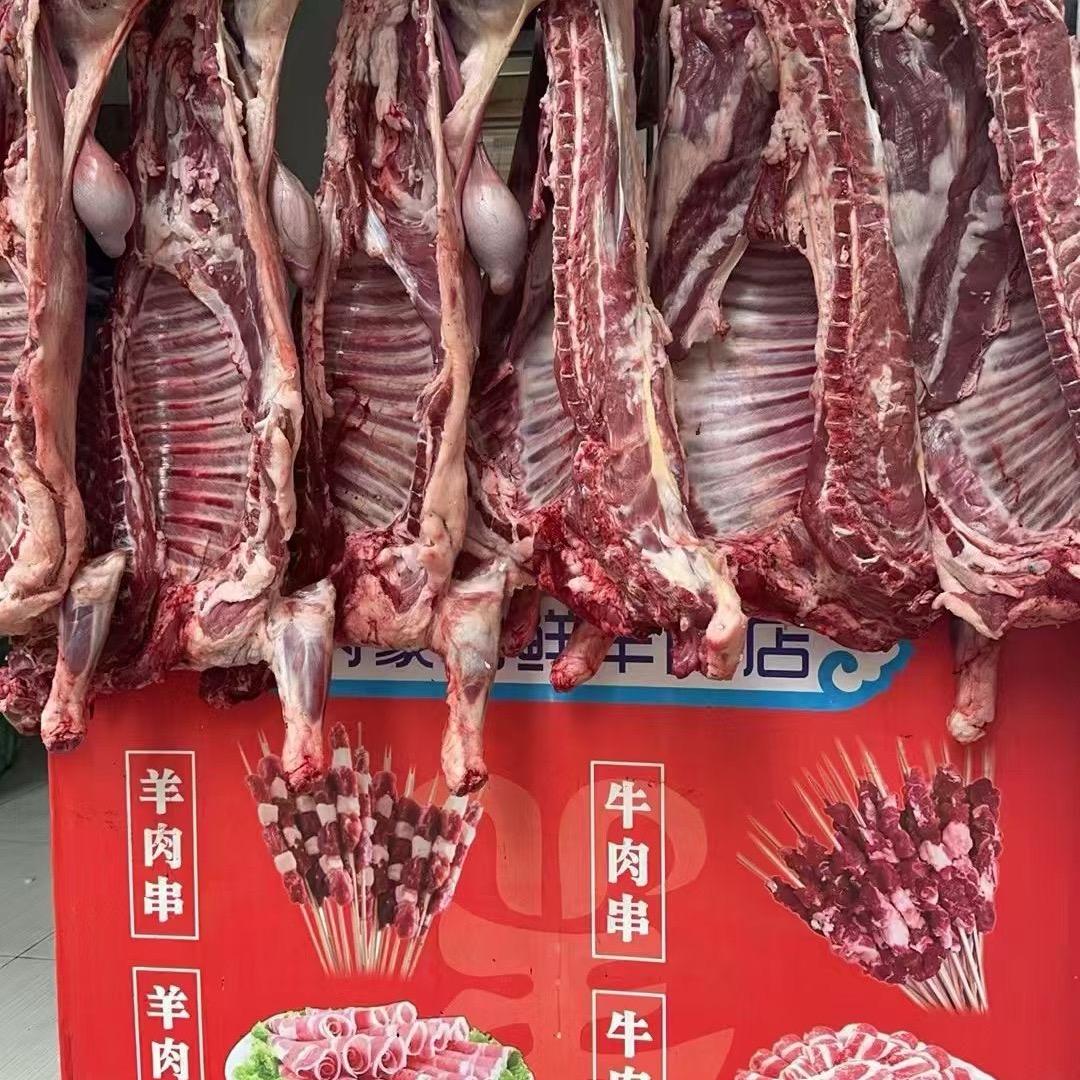 新疆羔羊肉，现穿！新鲜牛羊肉串批发可零