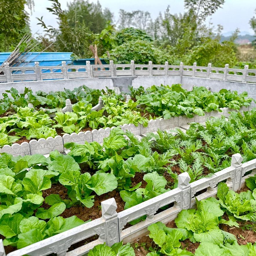 桃江县预制构件丁新成（全国送）