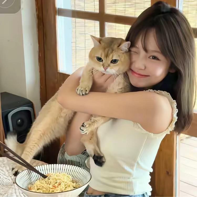 热得晕fufu