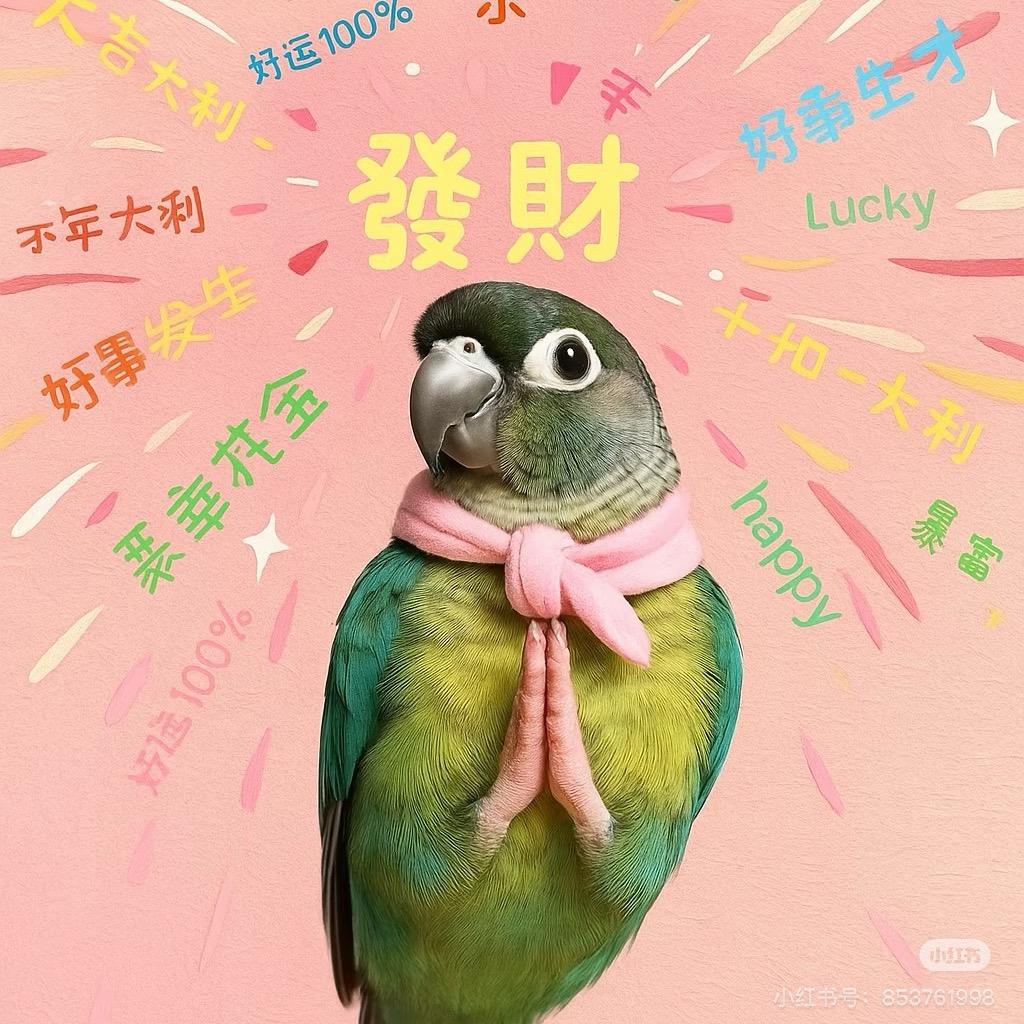 🐤多多 日常(基础版）
