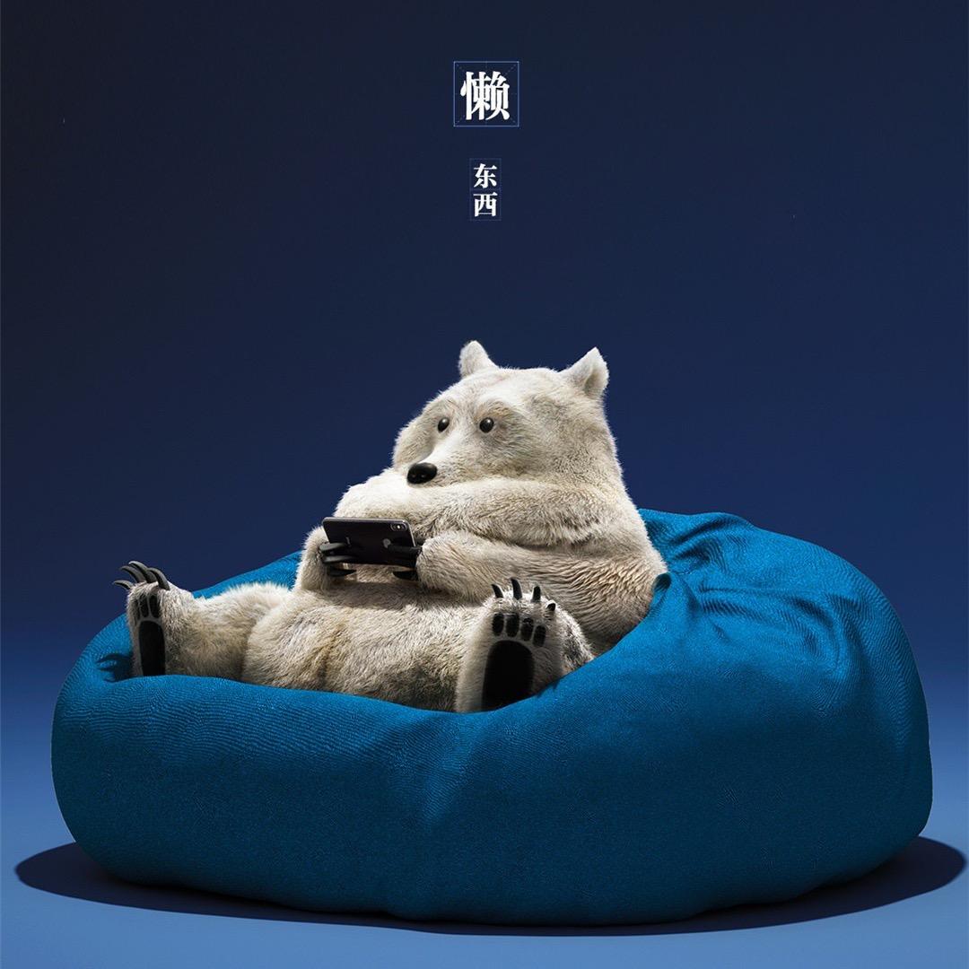 折耳猫