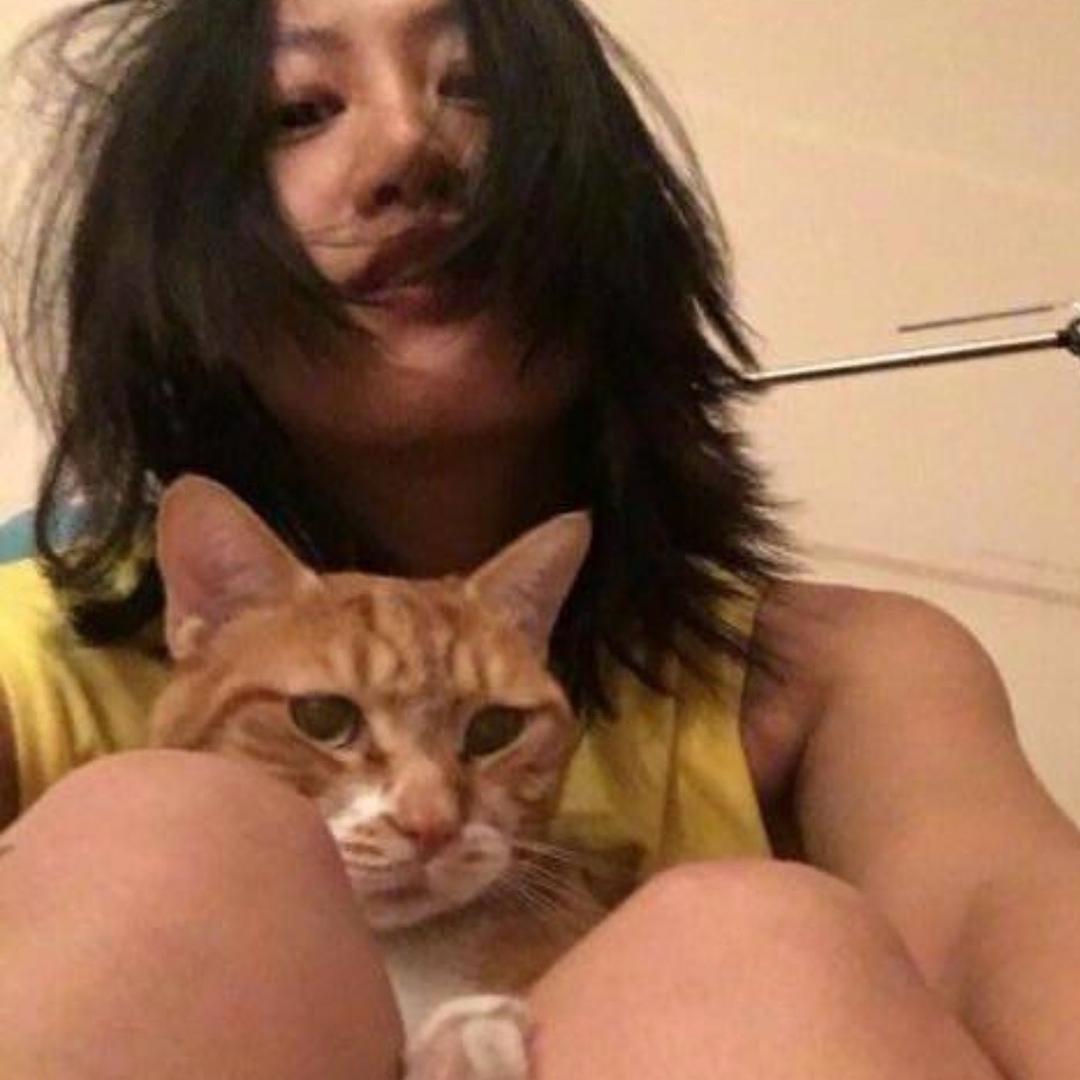 飞白