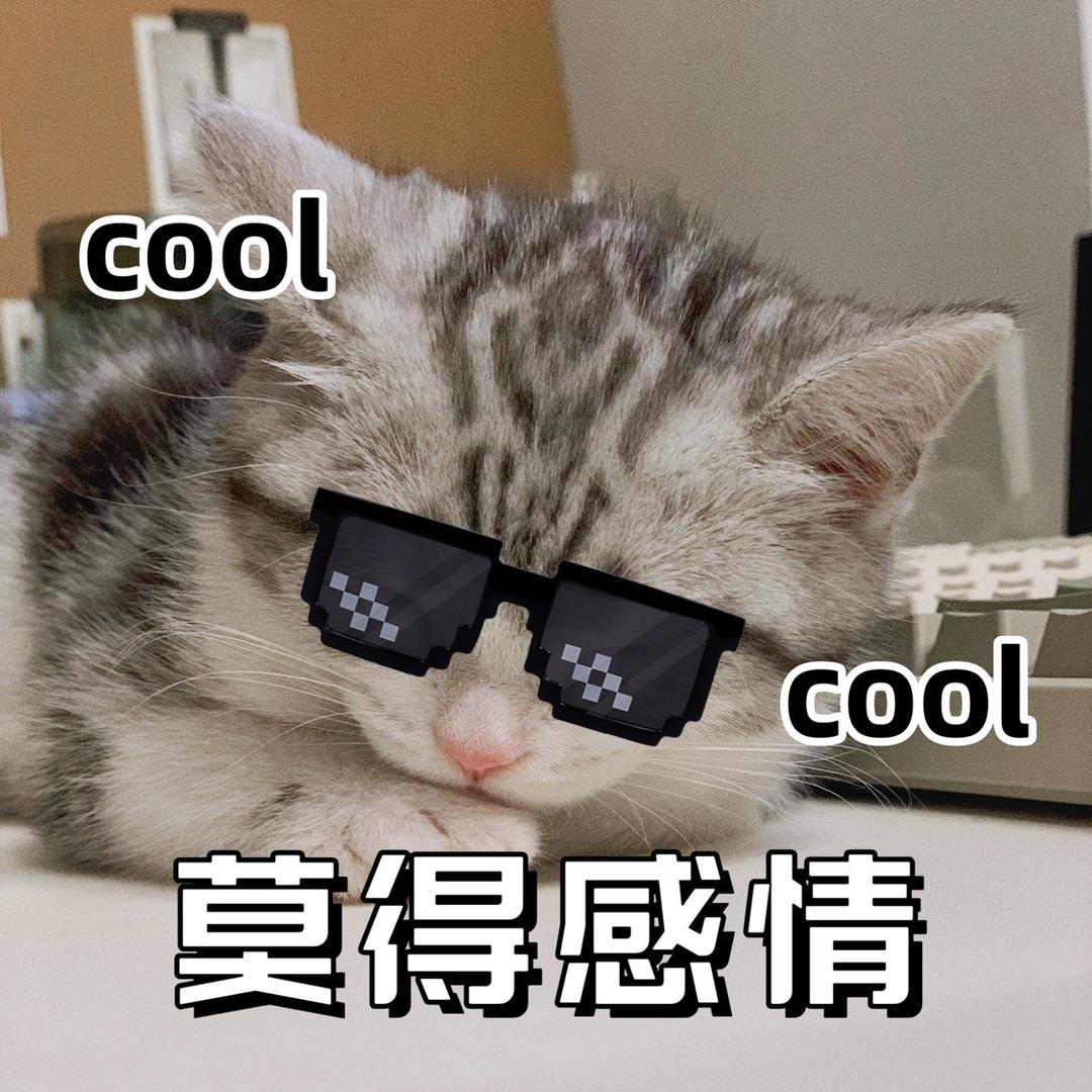 七仔有点帅