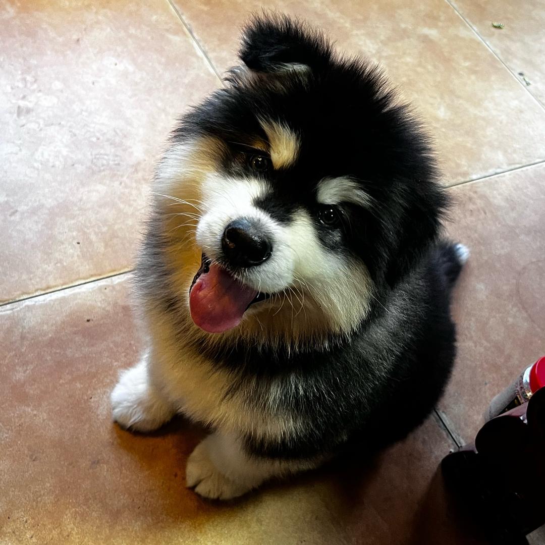 躺沙发上吐泡泡