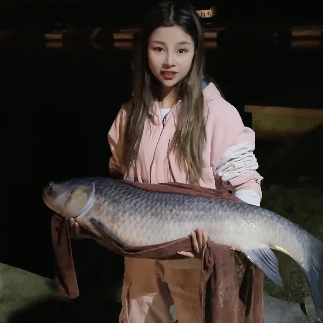 小猫逗钓