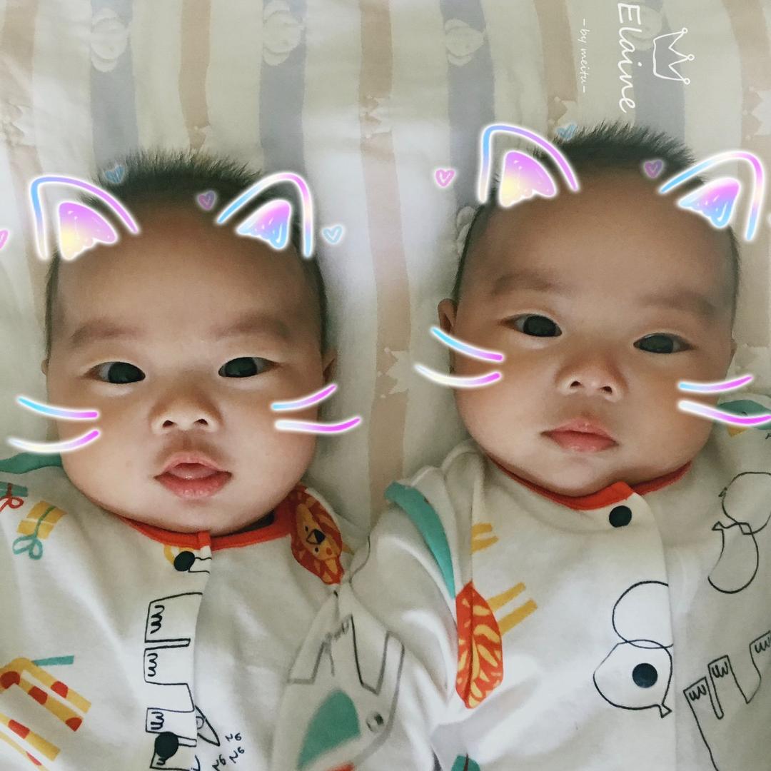 Elaine头像