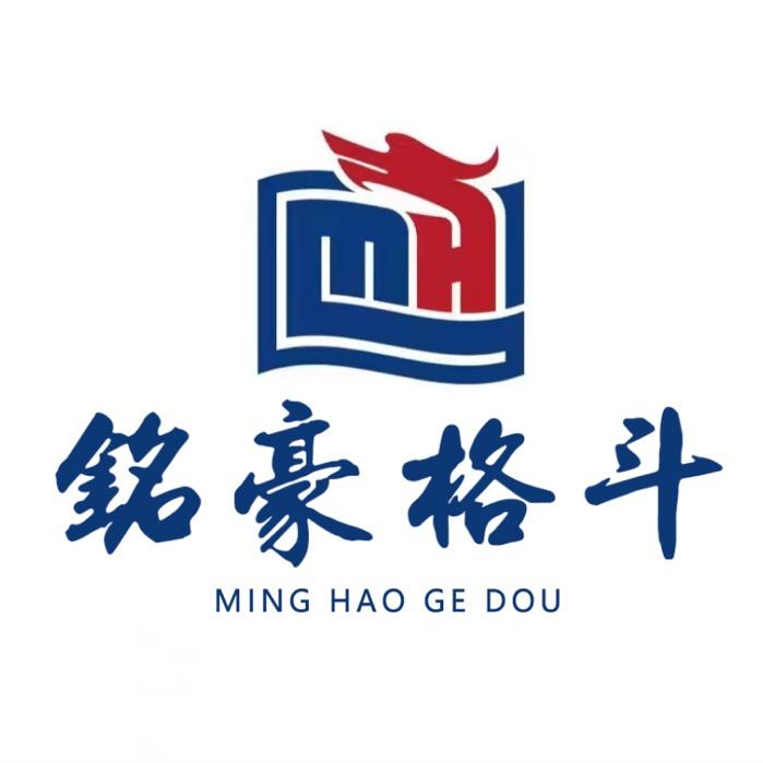 武安•铭豪格斗