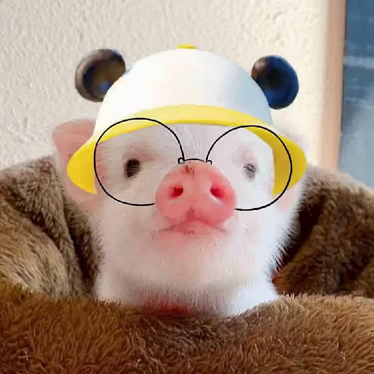小光楊