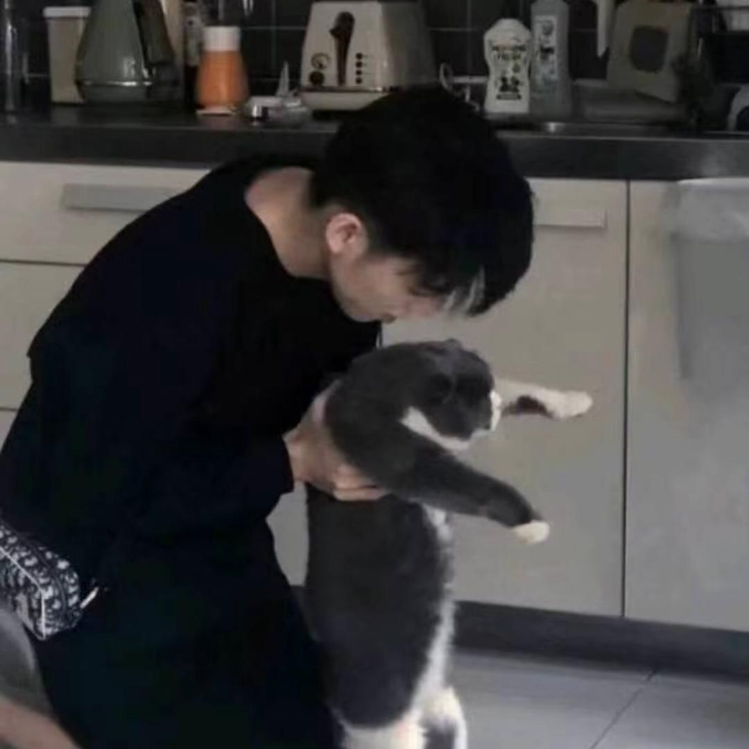 光吃香菜