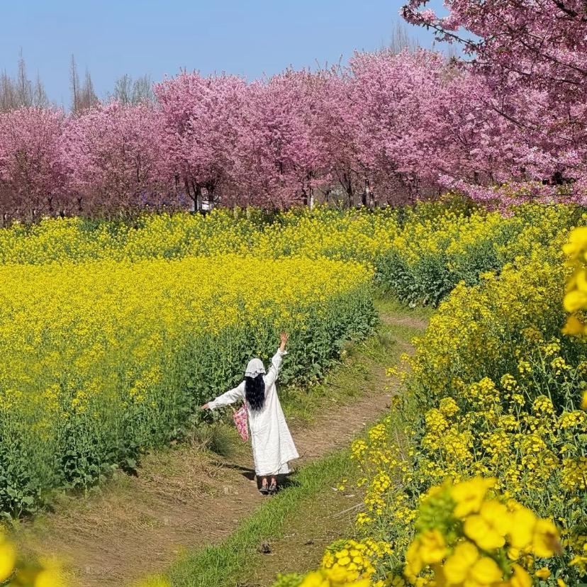 向阳花🌻的女孩👧