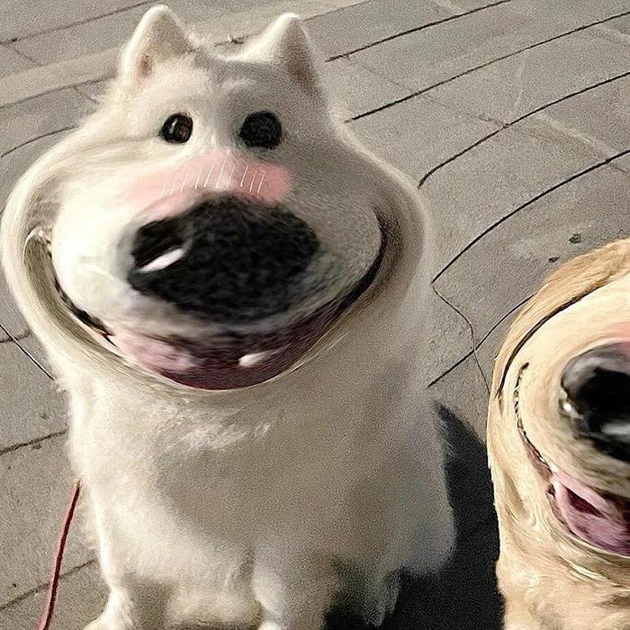 墩墩