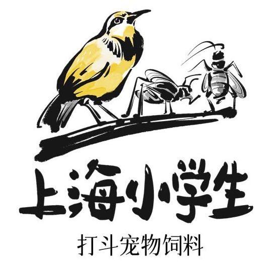 斗宠小学生