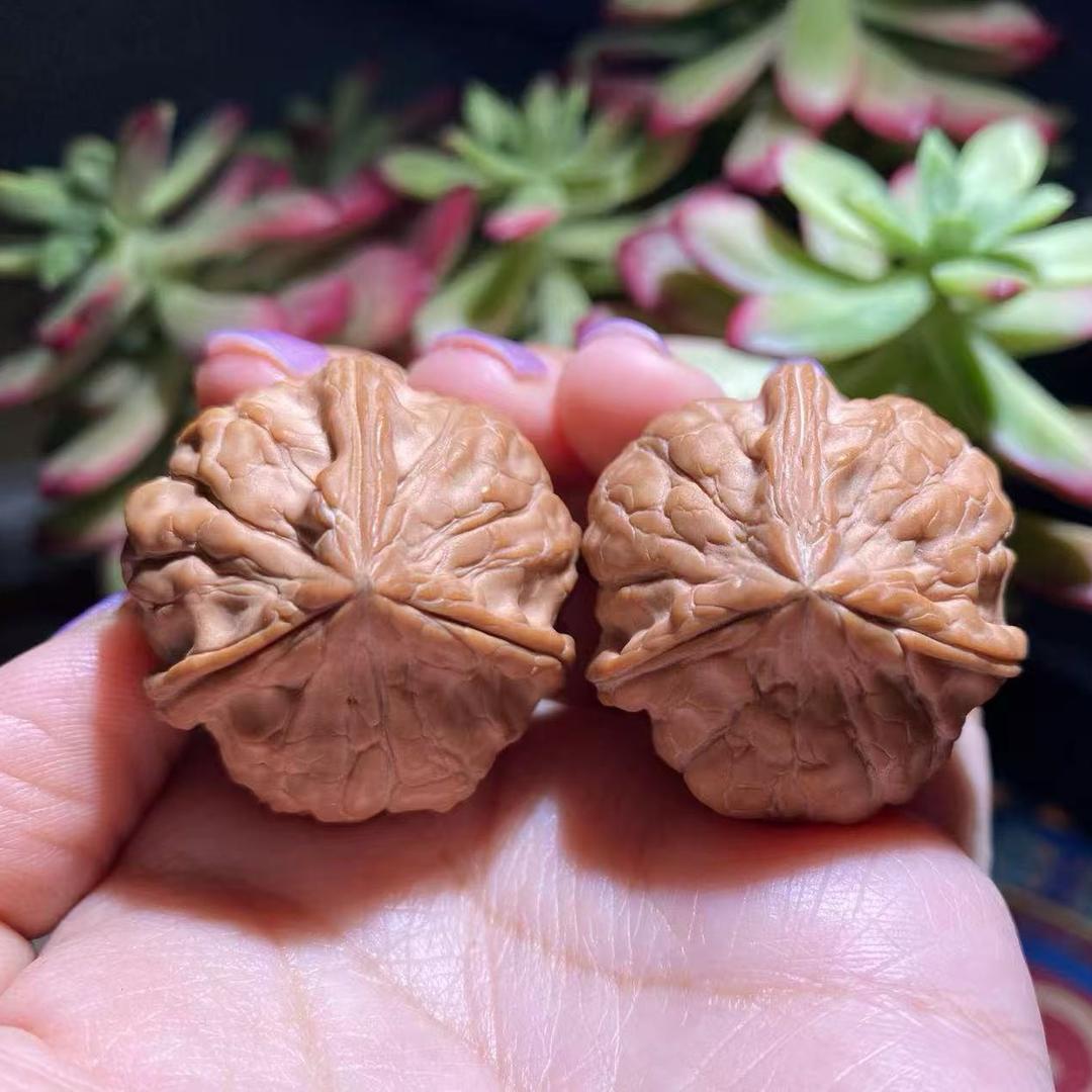好运来核桃