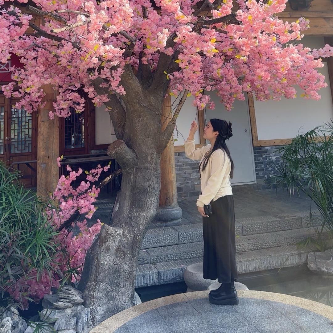 蕾蕾