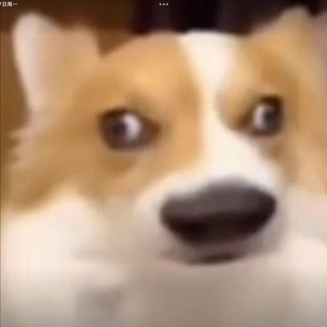 ………..…