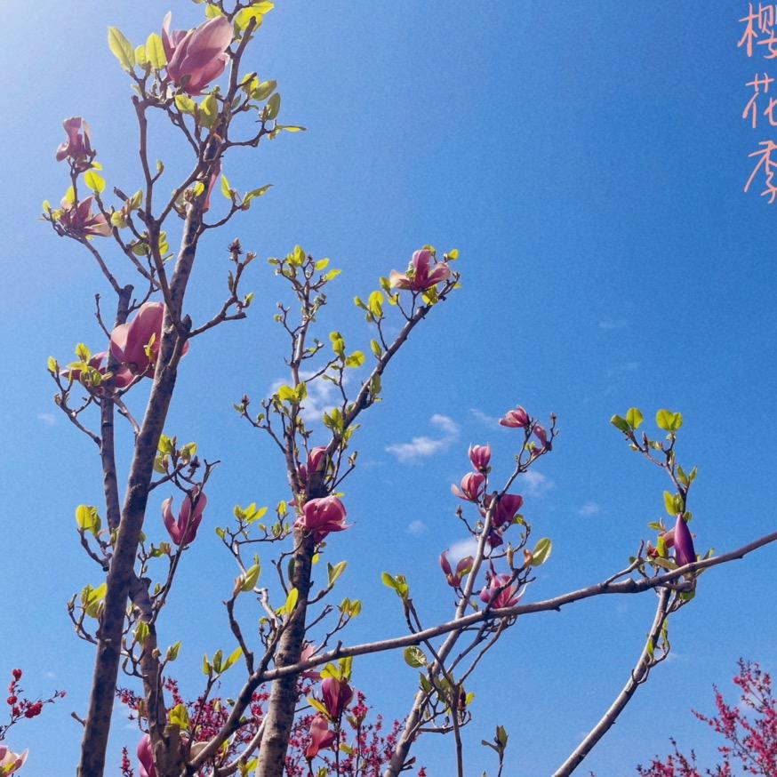 #赤道与北极#
