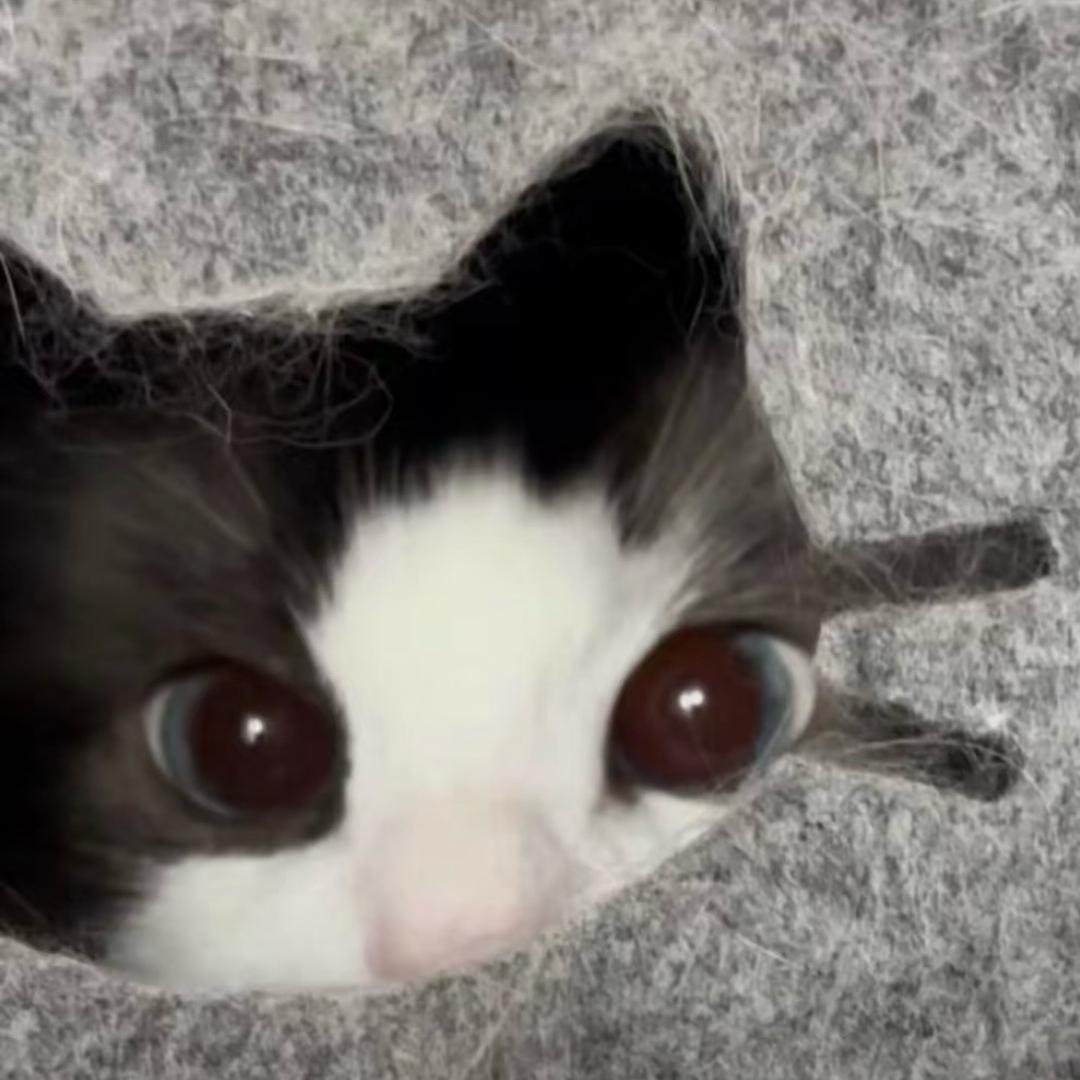 莓烦恼