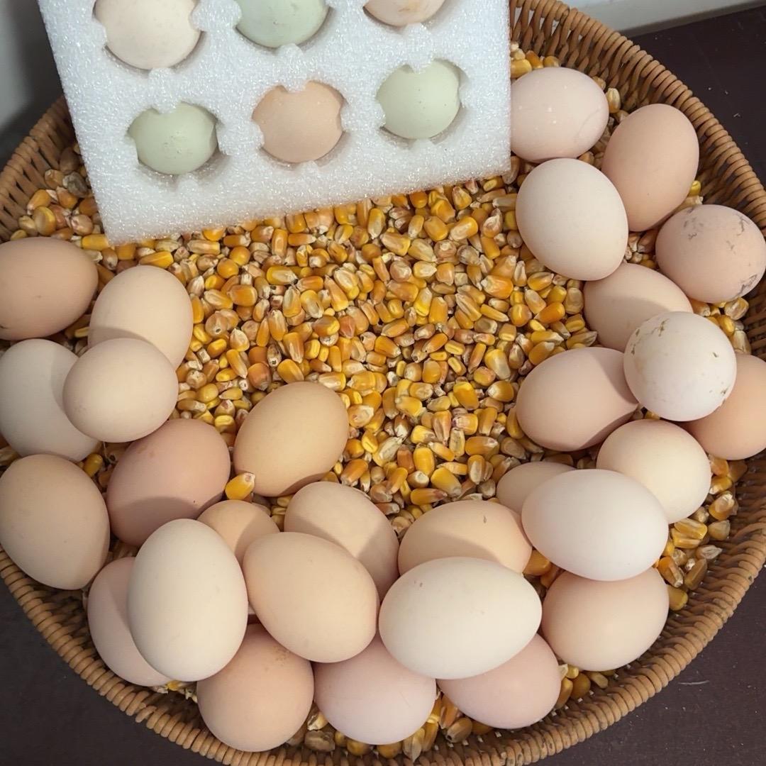九华山土鸡蛋绿色食品店