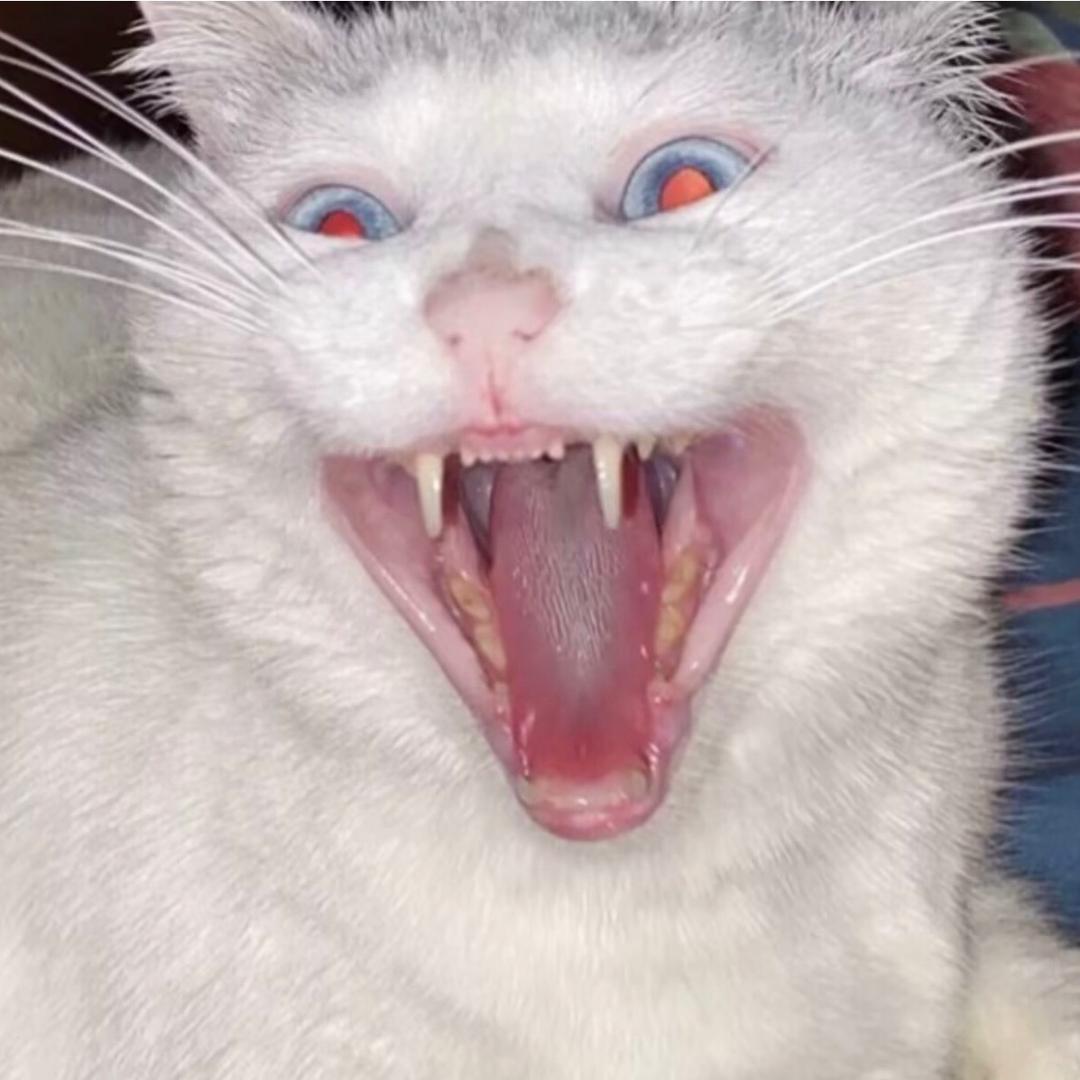 ㅤ