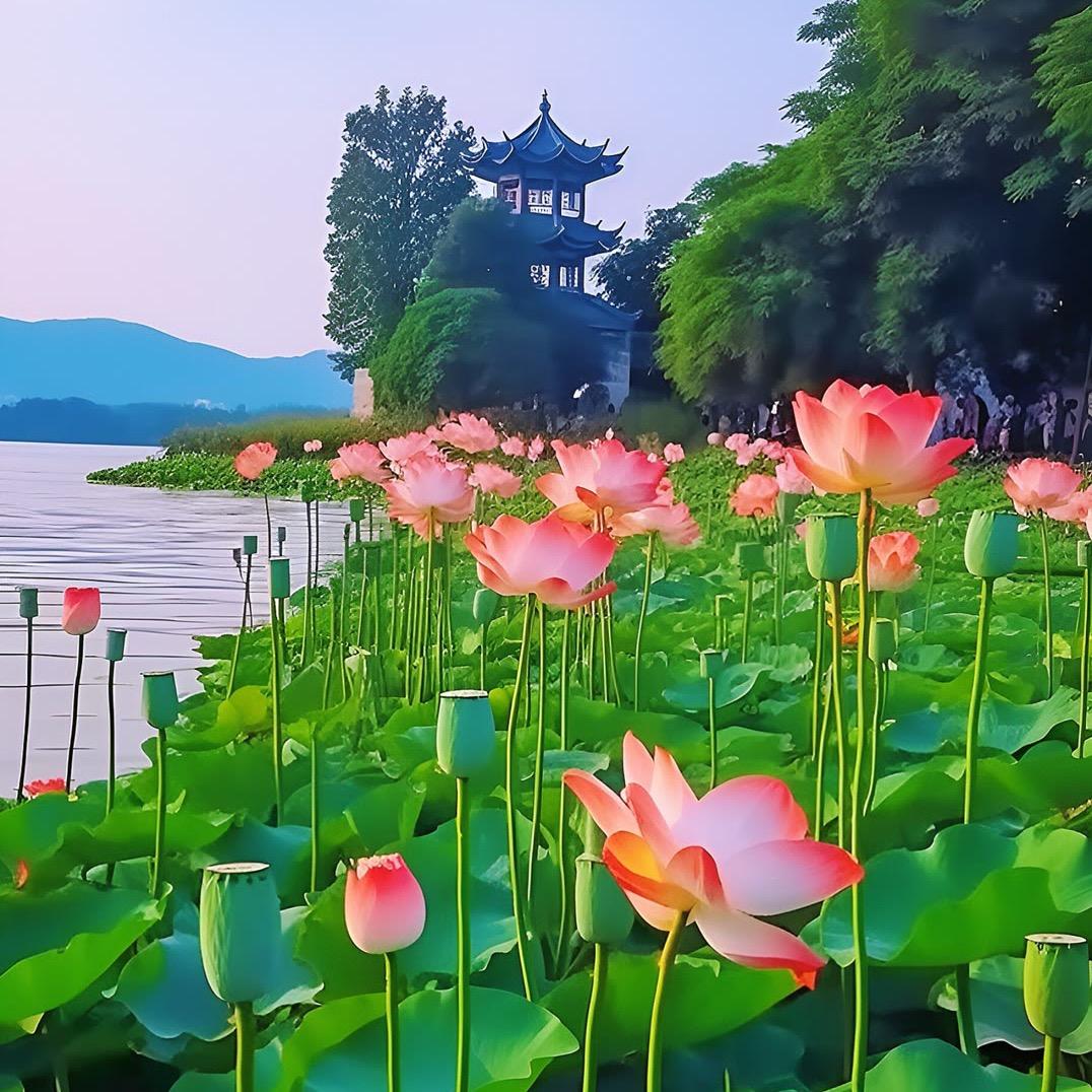 生活瞬间分享
