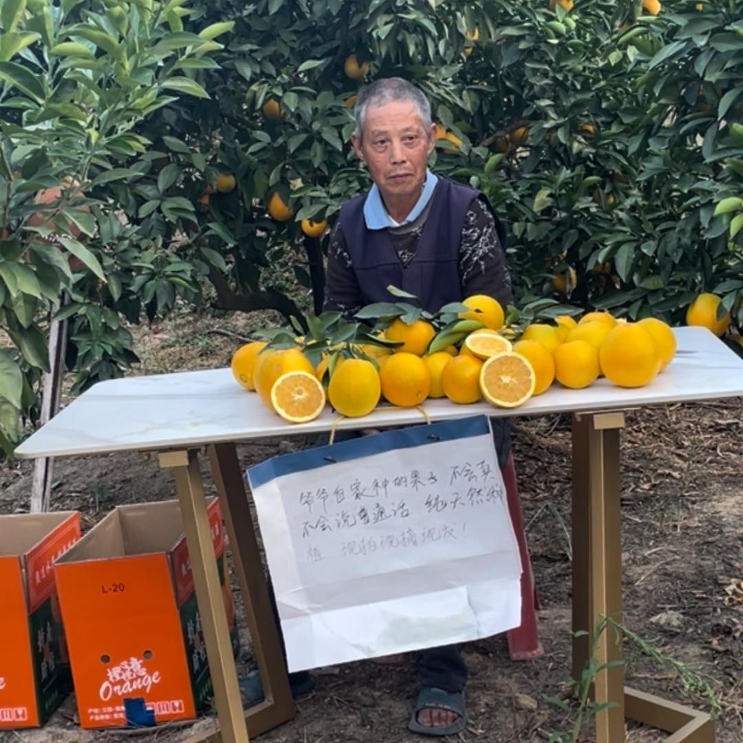 石发大叔家的赣南脐橙