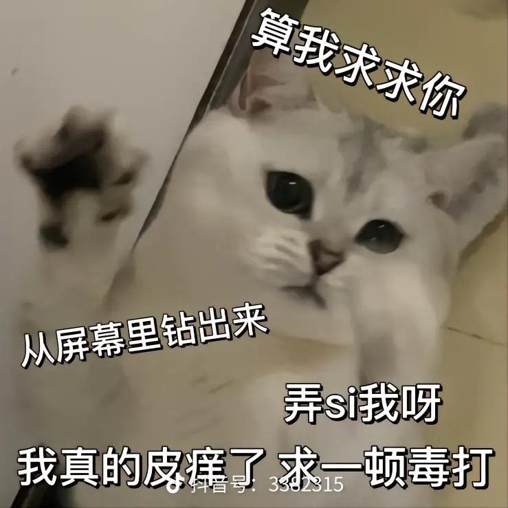 晓怪